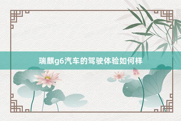 瑞麒g6汽车的驾驶体验如何样