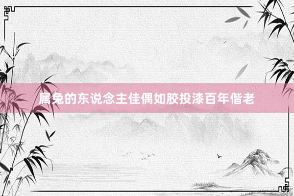 属兔的东说念主佳偶如胶投漆百年偕老